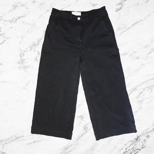 EVERLANE WIDE LEG CROP PANT